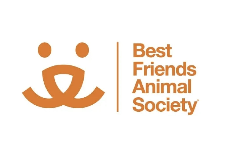My love for animals runs deep.
Unlike people, they are honest, they don’t grandstand, they don’t pretend to be someone they are not… and they don’t care about social media.